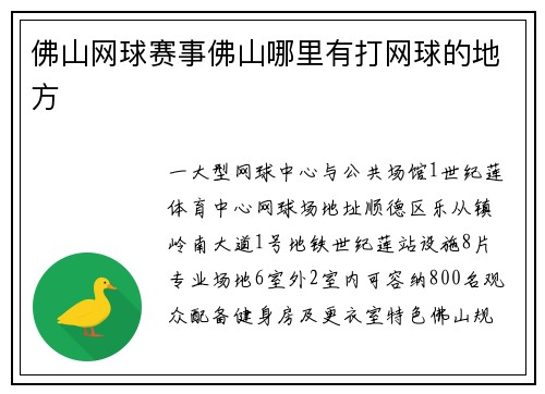 佛山网球赛事佛山哪里有打网球的地方
